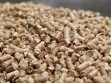 100% Pine Pellet. Certification ENplus A1, A2 European Wood - фото 1