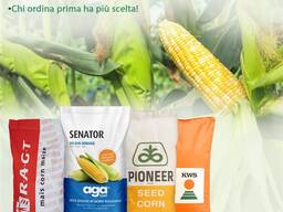 Agritura Pianificazione della Semina 2026 – Sementi di Mais e Concimi per Terreni Produtti