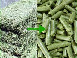 Alfalfa hay, Alfalfa Pellets, Alfalfa cubes