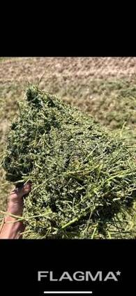 Alfalfa-Heu als Tierfutter