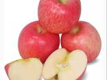 Apples, Fuji and Gala apples, Best wholesale market price - фото 5