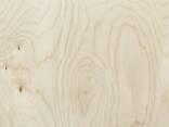 Baltic birch plywood - фото 1