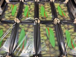 Birne „Conference“