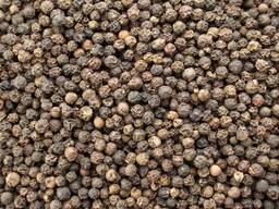 Black Pepper Dried Whole White Pepper and Other Spices and Herbs