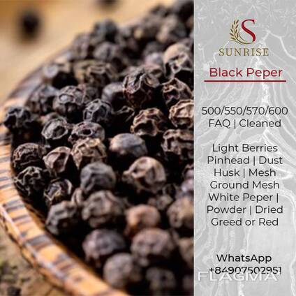 Black Pepper / White from Vietnam
