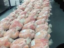 Brazil Frozen Chicken Parts