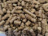 Brennstoffpellets aus Buchweizenschalen - фото 1