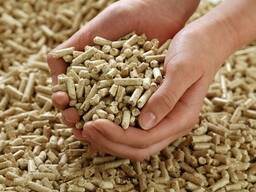 Brennstoffpellets aus der Ukraine “Premium” A1