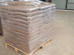 Brennstoffpellets ( Pellets ) aus Kiefer