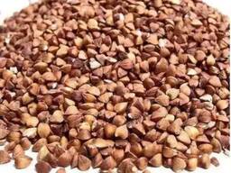 Buchweizenschalen Kamerun geröstet Buchweizen geschält