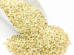 Beste Qualität Bio-Buchweizen Kasha Vollkorn-Buchweizen Export