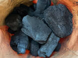 Buy BQQ Charcoal with Ash content: &lt;2.8% for sale - фото 3
