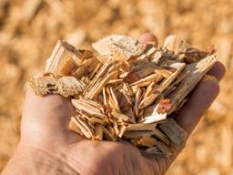 Buy Wood Chips, wood shavings