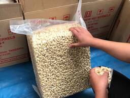 Cashew Nut Size W180 W240 W320 W450/ Certified WW320 Dried Cashew for Sale