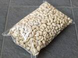 Cashew Nut Size W180 W240 W320 W450/ Certified WW320 Dried Cashew for Sale - фото 2