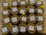 Cassia Stick / Powder from Vietnam - фото 6