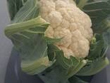 Blumenkohl (Herkunft Polen) - фото 5