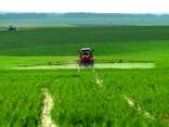 Ch werde ein landwirtschaftliches Unternehmen verkaufen. 2500 Hektar Land