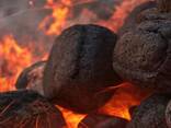 Charcoal Briquettes - photo 5