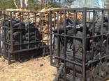 Charcoal (mixed/soft/hardwood) - photo 3