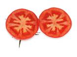 Products Description Product Name Fresh Tomatoes Style Fresh Type Tomato Type of cultivat