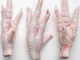 Halal Chicken Feet / Frozen Chicken Paws