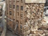 Chopped beech firewood / Дрова колоті букові / Kaminholz / Gehacktes Buchenbrennholz - photo 5