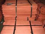 Copper Cathode Plates - фото 1