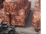 Copper Wire Scrap 99.99% Bulk Copper Wire Scrap 99.99% Premium - photo 3