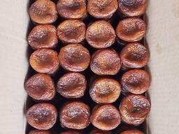 Getrocknete Aprikosen naturbelassen