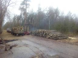 Дрова колотые