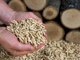 EN Plus A1, A2 Holzpellets / DIN Plus Pellets in 15 kg Säcken