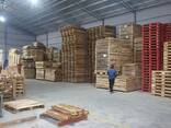 Epal Euro Wood Pallets - фото 2
