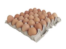 Fresh Chicken Eggs / Farm Table Eggs for Sale / fertile hatching eggs for sale cheap price