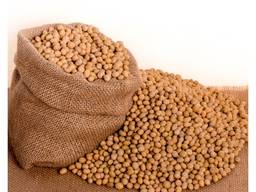 Hot Sale High Quality Soybeans Roasted Salted Oem Yellow Soya Beans