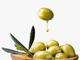 Fresh olives