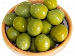 Wholesale Fresh Olives Supply Seggiano Organic Rosate di Bitteto Olives 190g