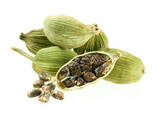 Fresh Raw Green Cardamom Wholesale Premium Quality Spice Bulk Available 100% Natural High - фото 3