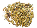 Fresh Raw Green Cardamom Wholesale Premium Quality Spice Bulk Available 100% Natural High - photo 5