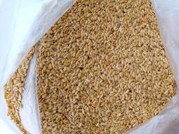Golden flaxseed / linseed