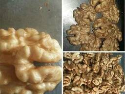 Грецкий орех Walnut Walnuss