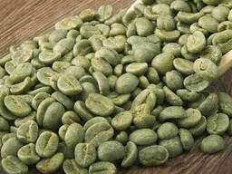 Green Coffee Beans Arabica, Robusta