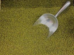 Green mung bean, from Uzbekistan/Grüne Mungbohnen aus Usbekistan