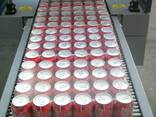 Großhändler für Fanta-Erfrischungsgetränke in Dosen - фото 3