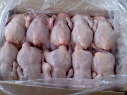 Halal Frozen Chicken Breast and Frozen Chicken