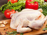 Halal Frozen Chicken, Thigh, Back quarter, Wings , - Fillet IPBF , IQF, BF. Ukraine ! - фото 2