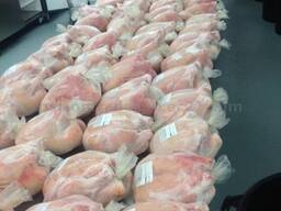 Halal Frozen Whole Chicken Processed, Chicken Feet, Wings and Paws