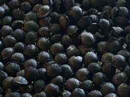 ХБЖ Холодное брекитированное железо