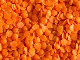 Hochwertige getrocknete ganze rote Linsen