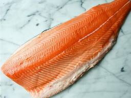 Quality Fresh Salmon / Wholesale Atlantic Salmon Fish For Sale/ Atlantic Salmon Fillets